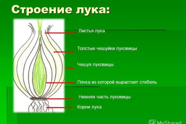 Как зарегистрироваться в кракен в россии