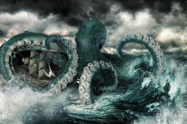 Kraken что это за магазин