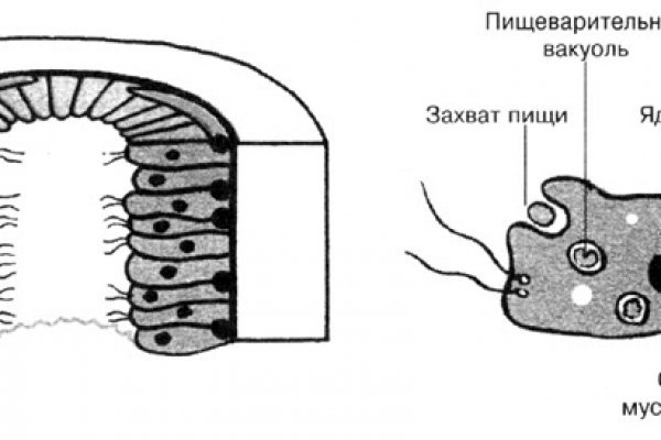 Какая сейчас ссылка на кракен