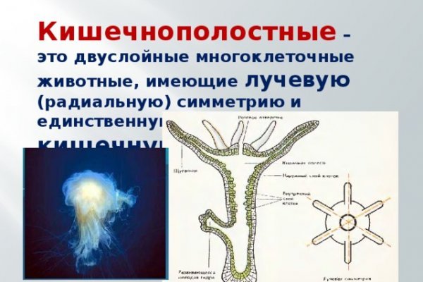 Кракен даркнет только через